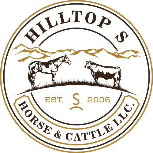 Hilltop S Horse and Cattle