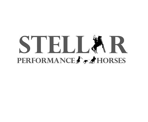 Stellar Performance Horses 